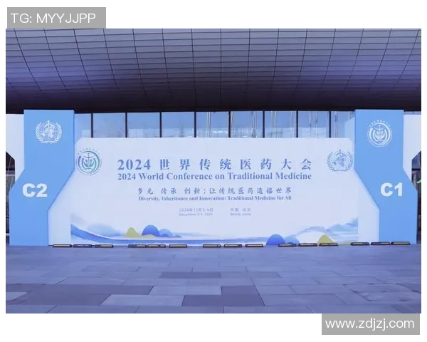 北京羽毛球队区域防守创新之路探索与实践分析